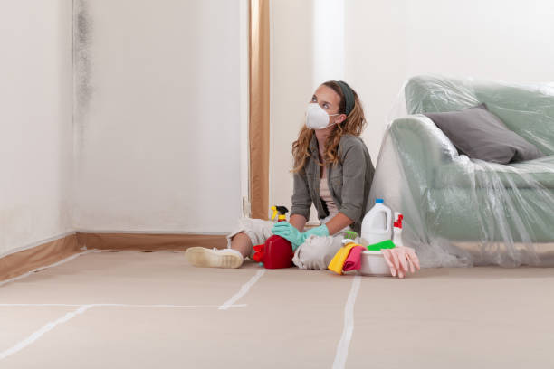 Reliable Basement Mold Remediation contractor in Woodstock, MD by 24 Hour Mold Removal